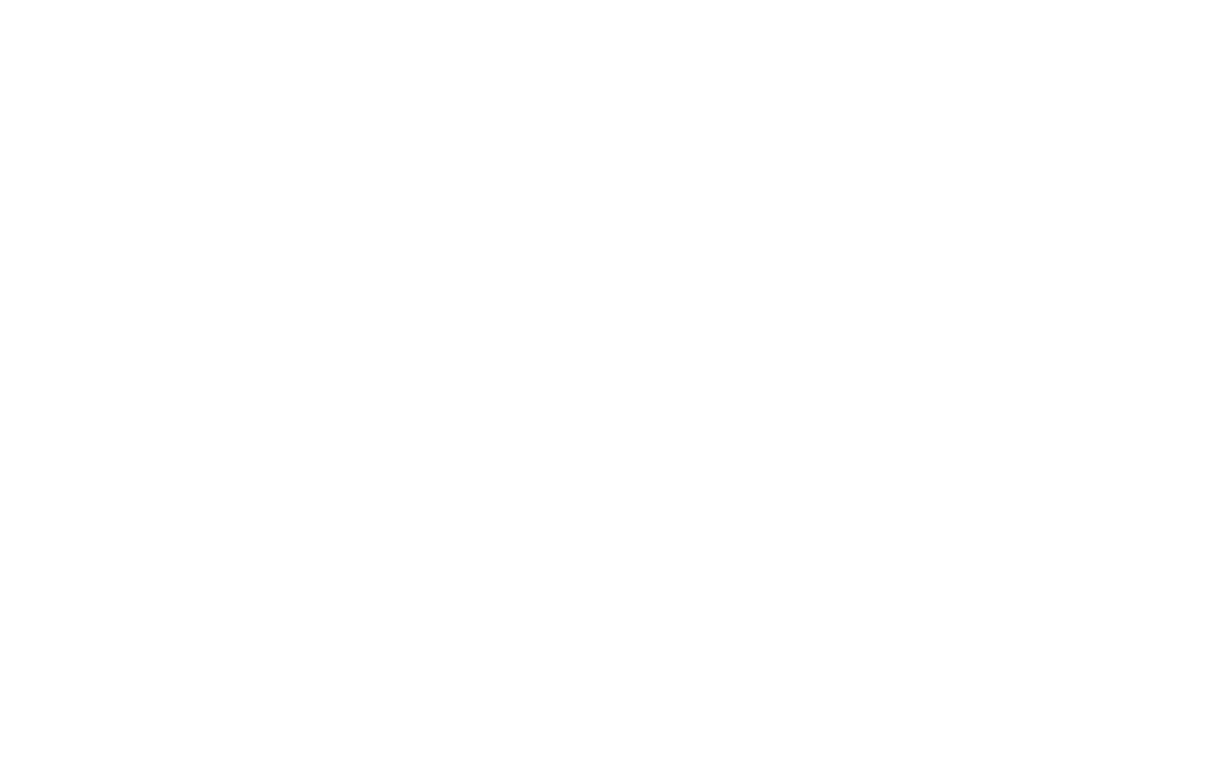 ADNomic-Logo-White-2