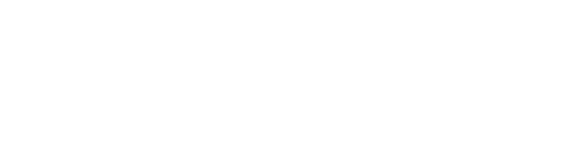 Camaleon_Logo_LP_Positive